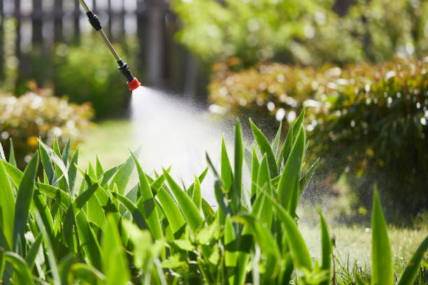 24/7 Emergency Wasp Removal experts in Fontana, CA
